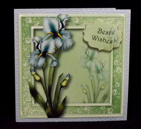 Pretty Pale Blue Iris 8x8 Quick Topper by Allen Bowen