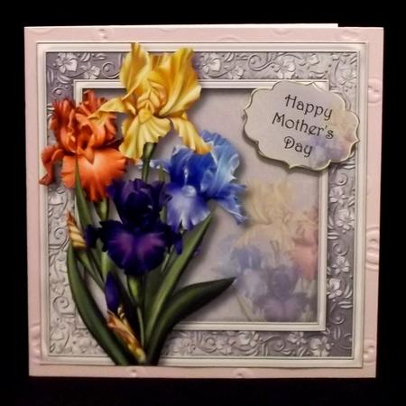 Pretty Mixed Iris 8x8 Quick Toppers by Allen Bowen