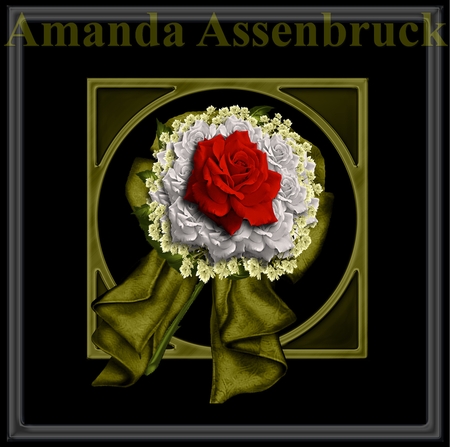 Roses by Amanda Assenbruck