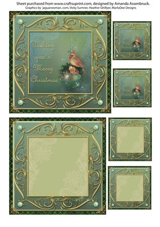 Ornate Metal Frames Set 10 by Amanda Assenbruck