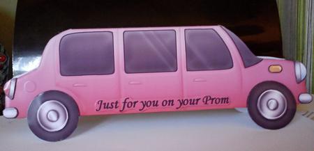 Large Dl Stretch Limo Shaped Card by Amanda Mcmillan