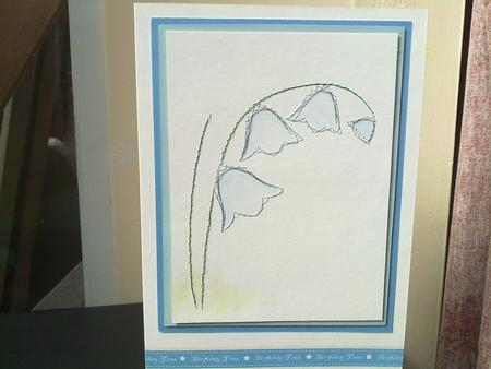 Bluebells by Amanda Seadon