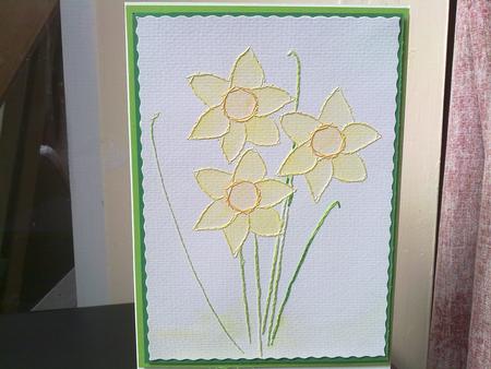 Daffodils by Amanda Seadon