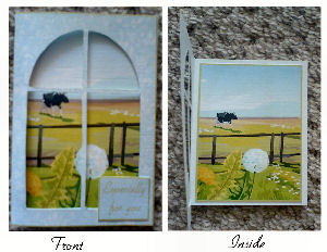 Sunny Medow Window Card Kit by Ammie Sanders