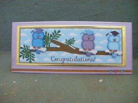 Large Dl Graduation Owls by Andrea Chapman