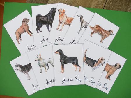 Dogs Notelets 2 by Andrea Chapman