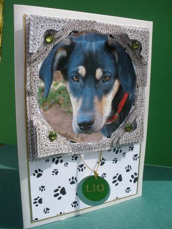 A Puppy Dog Called Lio 3D Lace Framed Corner Stacker by Andrea Chapman