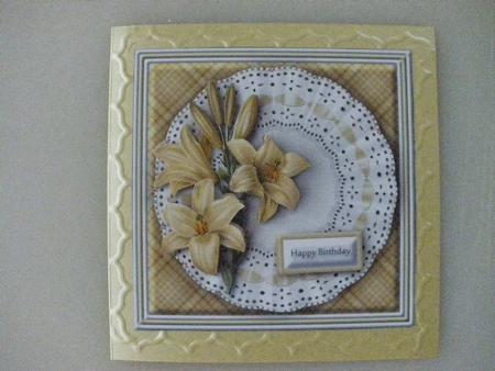 Cream Lilies 8x8 Quick Card by Andrea Chapman