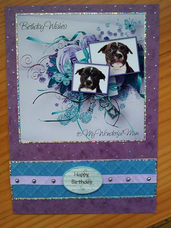 Staffordshire Bull Terrier Puppy Birthday Mum 8x8inch Topper by Andrea Chapman
