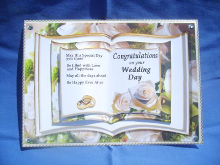 Wedding Day Celebration Book by Andrea Chapman