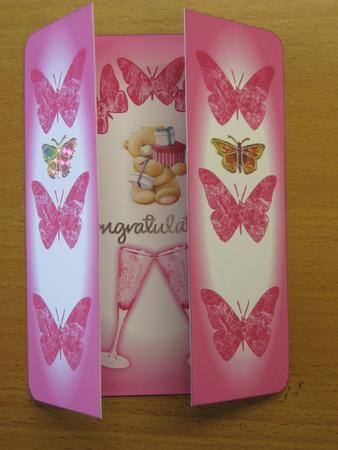 Pink Champagne Gate Fold by Andrea Maloney