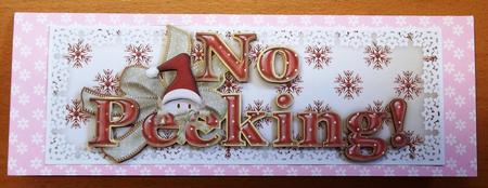 No Peeking! Large Dl Sized Card Front and Step by Step Featured Gallery Photo