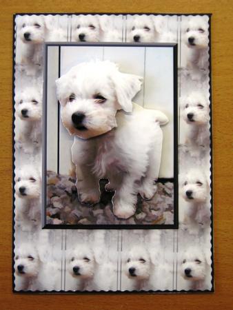 Westie Puppy 3D Decoupage with Background by Andrea Maloney