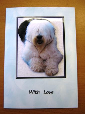 Old English Sheepdog Laid 3D Decoupage by Andrea Maloney