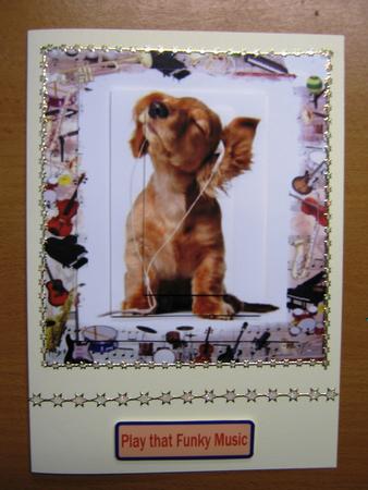 Musical Dog by Andrea Maloney