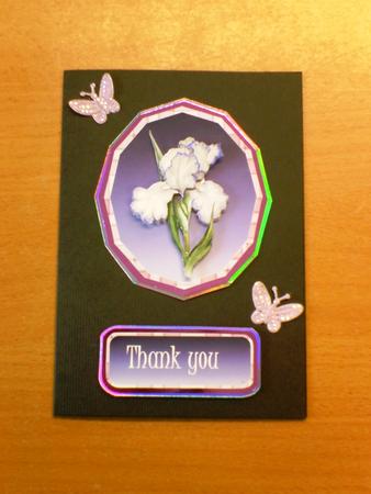 White and Lilac Iris with Plaid by Andrea Maloney