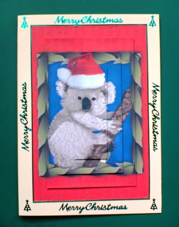 Australia Koala in Gum Tree Christmas by Andrea Maloney