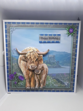 HIGHLAND COWS  by Andrea McGill