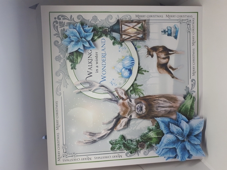 Winter Wonderland by Andrea McGill