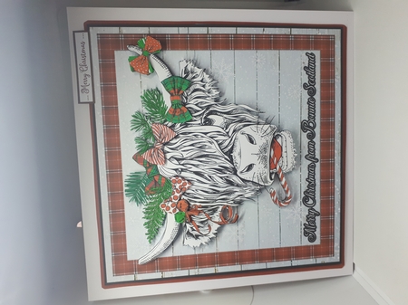CHRISTMAS HIGHLAND COO by Andrea McGill