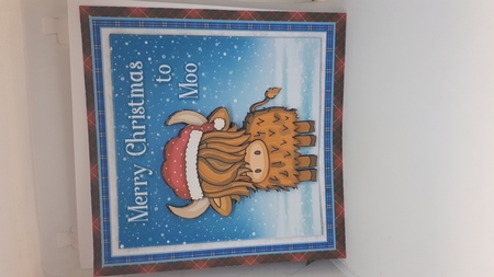 CHRISTMAS COO 1 by Andrea McGill
