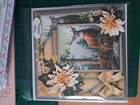 Animal Kingdom 7 Mini Kit #5 by Andrea McGill