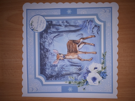 LITTLE PRINCE by Andrea McGill