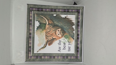 Hiding Highland cow card front 2 by Andrea McGill
