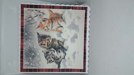 Three Brothers. Kitten Christmas Card. 7x7 card kit. Matching Box, Gift Bauble,Tag. by Andrea McGill