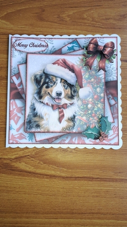 Christmas Shepherd Dog 7X7 by Andrea McGill