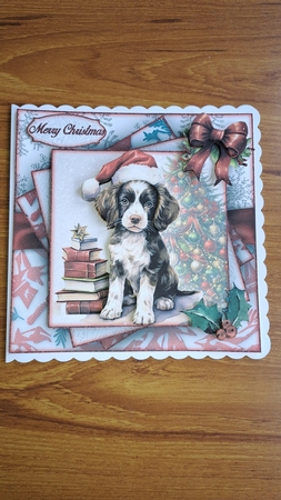 Christmas Springer Spaniel 7X7 by Andrea McGill