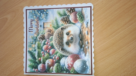 Hedgehog at Christmas No.6 by Andrea McGill