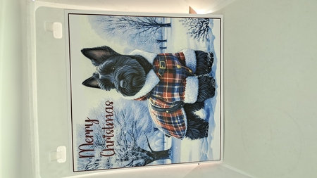 Winter Country Park  Dogs 17 by Andrea McGill