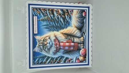 Winter Wonder by Andrea McGill