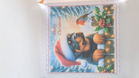 Christmas Picket Fence Pups 3 by Andrea McGill