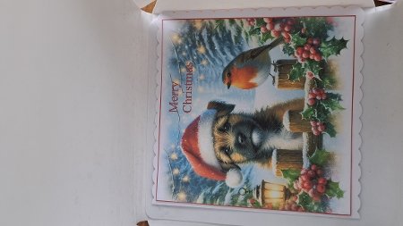 Christmas Picket Fence Pups 11 by Andrea McGill
