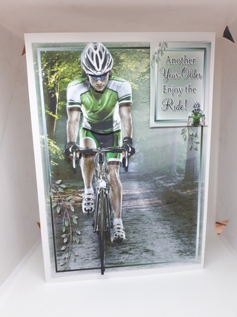 Enjoy the Ride by Andrea McGill