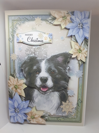 The Christmas Border Collie by Andrea McGill