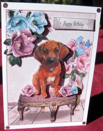 Forever Paws Card Front Mini Kit.12 Featured Gallery Photo