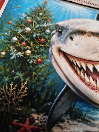 Merry Christmas **Just swam by** by Andrea Hippenstiel