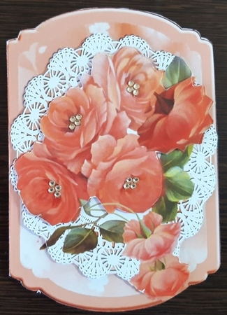 Pretty peach flowers on lace cut n fold bracket card by Anette De Villiers