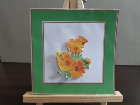 Paper Pack 2 (Autumn Color Family) by Anette De Villiers