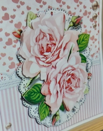 Gorgeous Pink Blooms by Anette De Villiers