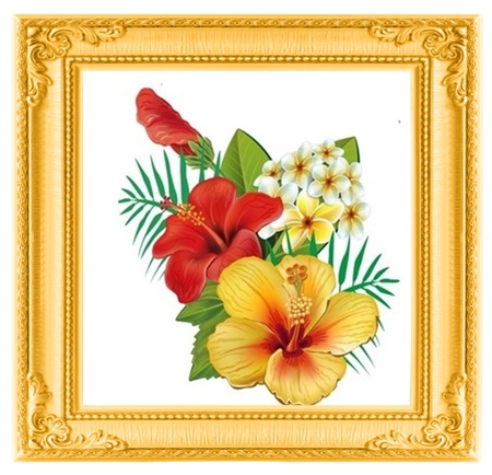 TROPICAL FLOWERS 2 DECOUPAGE by Anette De Villiers