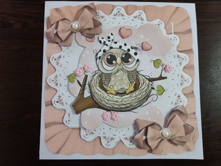 Cute owl  sitting in a nest in frill frame with pink bows 7x7 by Anette De Villiers