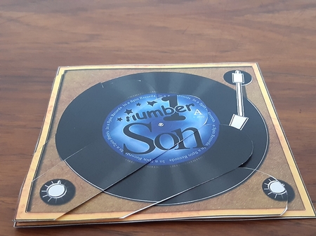 Number 1 Son Record Fan Pyramage Topper by Anette De Villiers