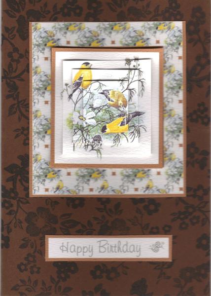 Birds and Flowers by Angela Butters