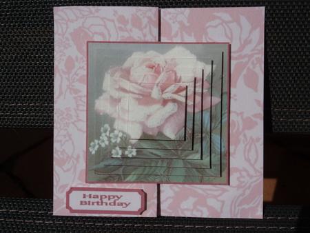Pink Rose by Angela Butters