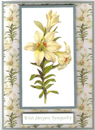 White Lily Sympathy by Angela Butters
