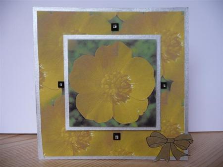 Buttercup Wishes by Angela Butters